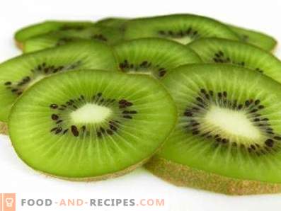 Kiwi: the benefits and harm to the body